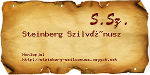 Steinberg Szilvánusz névjegykártya